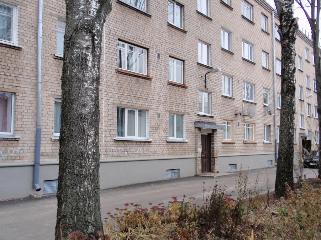 Central Cietoksna Street Apartment Daugavpils Exteriör bild
